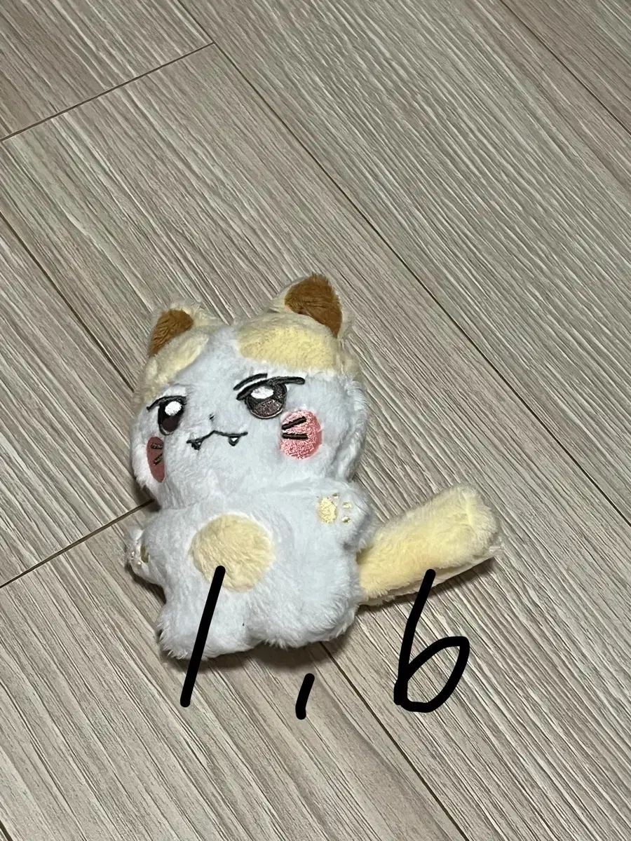 thumbnail-1
